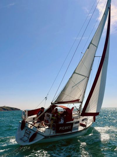 cruising picante 1 cruising picante 1
